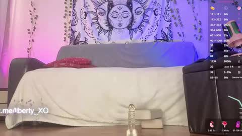 Snapshot of liberty_cb chatting on 13, 3, 2026 liberty_cb online show from 13, 3, 2026