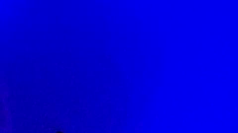 LickYourYoni online show from 17, 1, 2025