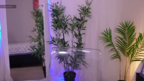Lia Sweet online show from 19, 6, 2026