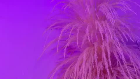 Snapshot of liiamluna chatting on 6, 5, 2026 Liiam Luna online show from 6, 5, 2026
