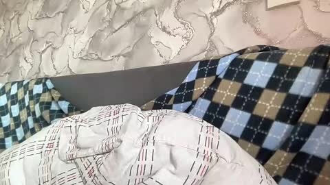 Snapshot of liissa207673 chatting on 24, 2, 2025 liissa207673 online show from 24, 2, 2025