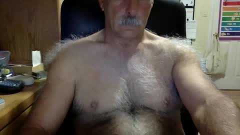 likefhot online show from 3, 2, 2026