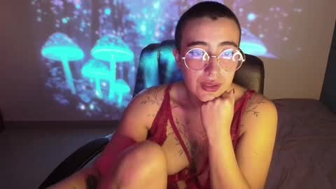 im MIA  -- MY OF is catsito3 online show from 22, 2, 2025