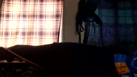 Snapshot of lildurke65 chatting on 10, 2, 2026 lildurke65 online show from 10, 2, 2026