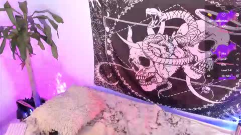              online show from 17, 12, 2025