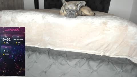 Lilith Parker online show from 22, 1, 2025