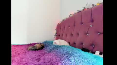 Lilith online show from 8, 2, 2025