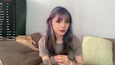 Amelia online show from 2, 4, 2026