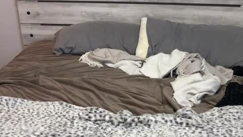 Lilly Baby Xo online show from 7, 12, 2024