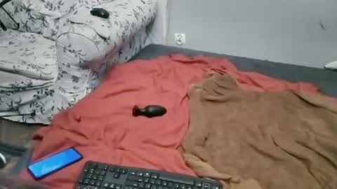 Lilli Sissy SlutCat online show from 2, 7, 2026
