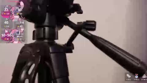 Lily online show from 7, 11, 2025