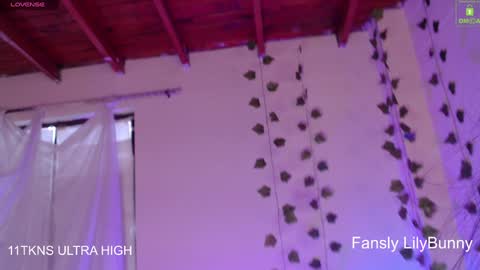 Snapshot of lily_bunny_1 chatting on 6, 12, 2024 Fansly LilyBunny- help me reach 50 thumbs up online show from 6, 12, 2024