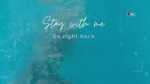 Lily online show from 16, 9, 2025