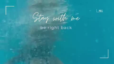 Lily online show from 22, 9, 2025