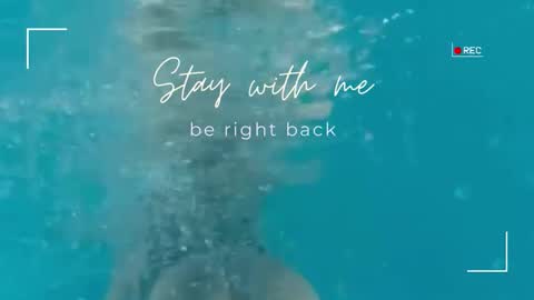 Lily online show from 15, 2, 2026