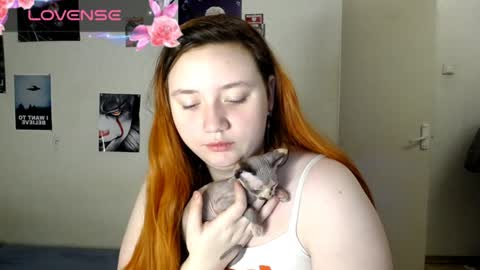 Snapshot of lily_shamy chatting on 31, 12, 2024 Alice online show from 31, 12, 2024