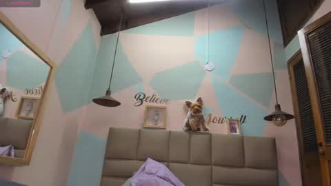 Lily online show from 12, 2, 2025