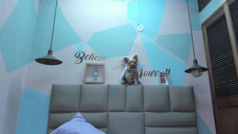 Lily online show from 25, 2, 2025