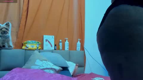 Lily online show from 10, 5, 2026