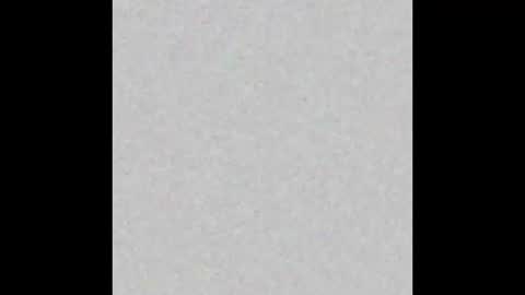 Snapshot of lindseysinclair chatting on 9, 2, 2026 Lindsey online show from 9, 2, 2026