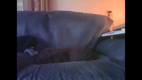 lion160868 online show from 18, 1, 2026