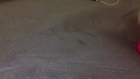 lipinhofortal853516 online show from 10, 11, 2025