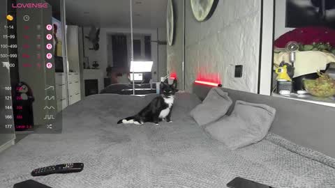 Snapshot of lisa__fox chatting on 17, 11, 2025 Lisa online show from 17, 11, 2025