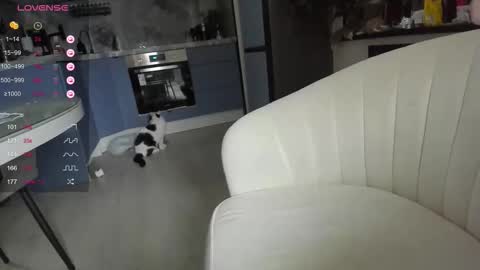 Snapshot of lisa__fox chatting on 31, 3, 2026 Lisa online show from 31, 3, 2026