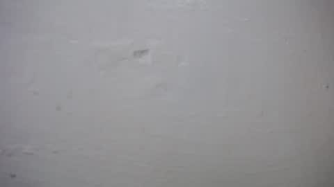 lisa_branch online show from 27, 10, 2025