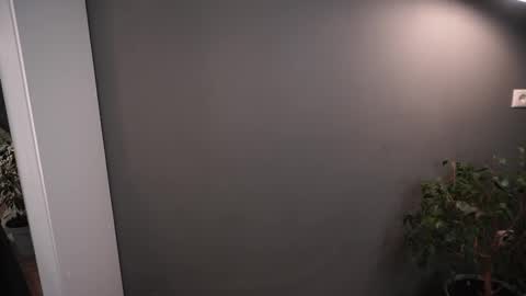 Elisabeth or Lisa online show from 26, 11, 2025