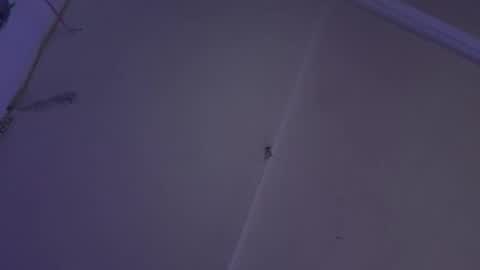 Snapshot of lisaloch666 chatting on 25, 12, 2024 cristin online show from 25, 12, 2024