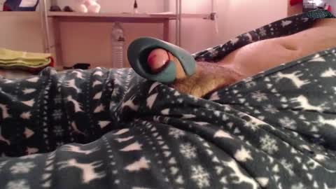 litlediky online show from 21, 12, 2024