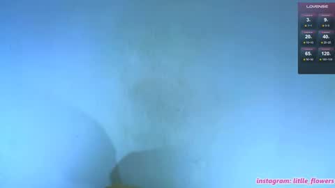 Snapshot of litlle_flowers chatting on 24, 10, 2025 Lana online show from 24, 10, 2025