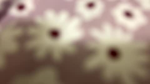 litos666 online show from 24, 2, 2026