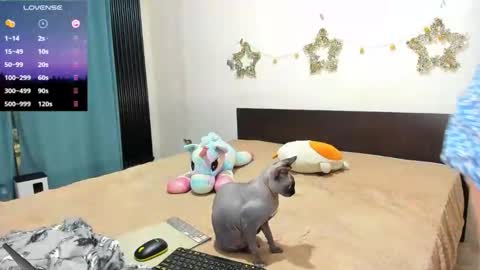 Snapshot of little_sonya chatting on 21, 2, 2026 Kat online show from 21, 2, 2026