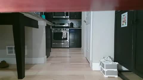 Littlleclitty247 online show from 11, 9, 2025