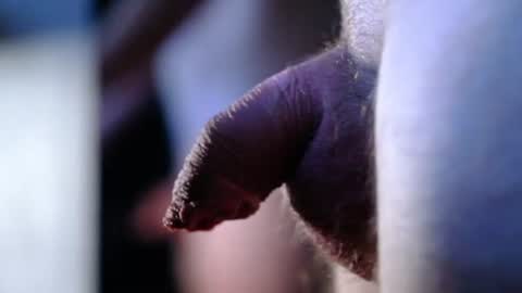 littlescrapper69 online show from 9, 10, 2025