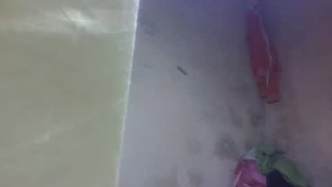 Snapshot of littleyanah chatting on 11, 9, 2025 yanah online show from 11, 9, 2025