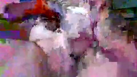 litwinpaweel online show from 14, 4, 2026