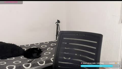 Snapshot of liu_mystik chatting on 6, 4, 2026 Liu help me to reach 100 thumps up daddy online show from 6, 4, 2026