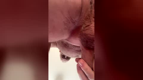 liverpoolfc1986 online show from 28, 2, 2026