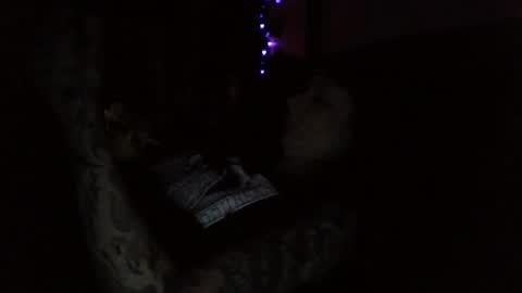 Liv Mirage online show from 5, 11, 2025