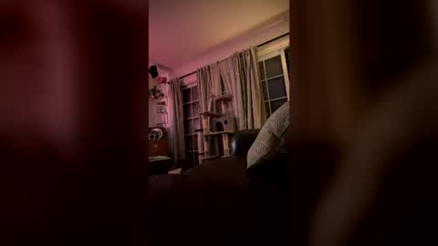 Snapshot of livtheenigma chatting on 30, 6, 2026 livtheenigma online show from 30, 6, 2026