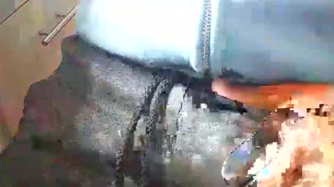 loboxavi online show from 17, 9, 2025