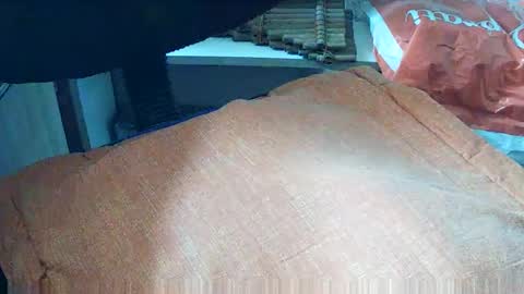 loboxavi online show from 19, 9, 2025