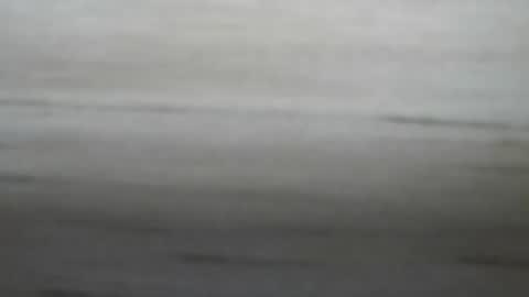 Snapshot of lockedpeepee chatting on 8, 1, 2025 lockedpeepee online show from 8, 1, 2025