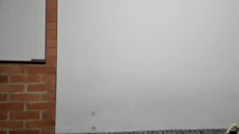 Snapshot of logannick chatting on 9, 4, 2026 Logan online show from 9, 4, 2026