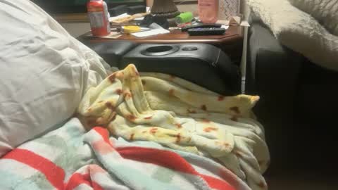 logical12345 online show from 1, 12, 2025