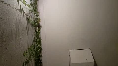 longdick3587 online show from 17, 2, 2025