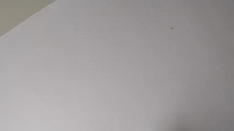 Mr. FogoDeChao online show from 16, 1, 2026